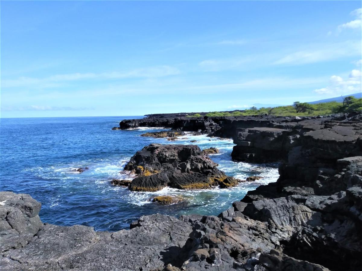 Ocean View Paradise — photo 23