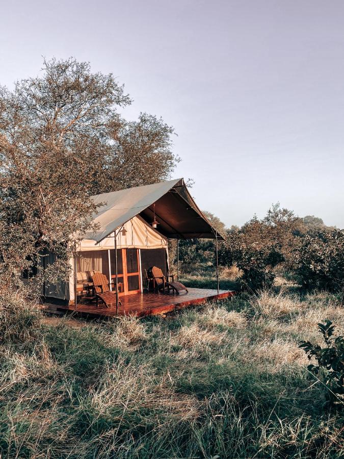 Honeyguide Tented Safari Camp - Khoka Moya, Manyeleti Game Reserve –  Updated 2023 Prices