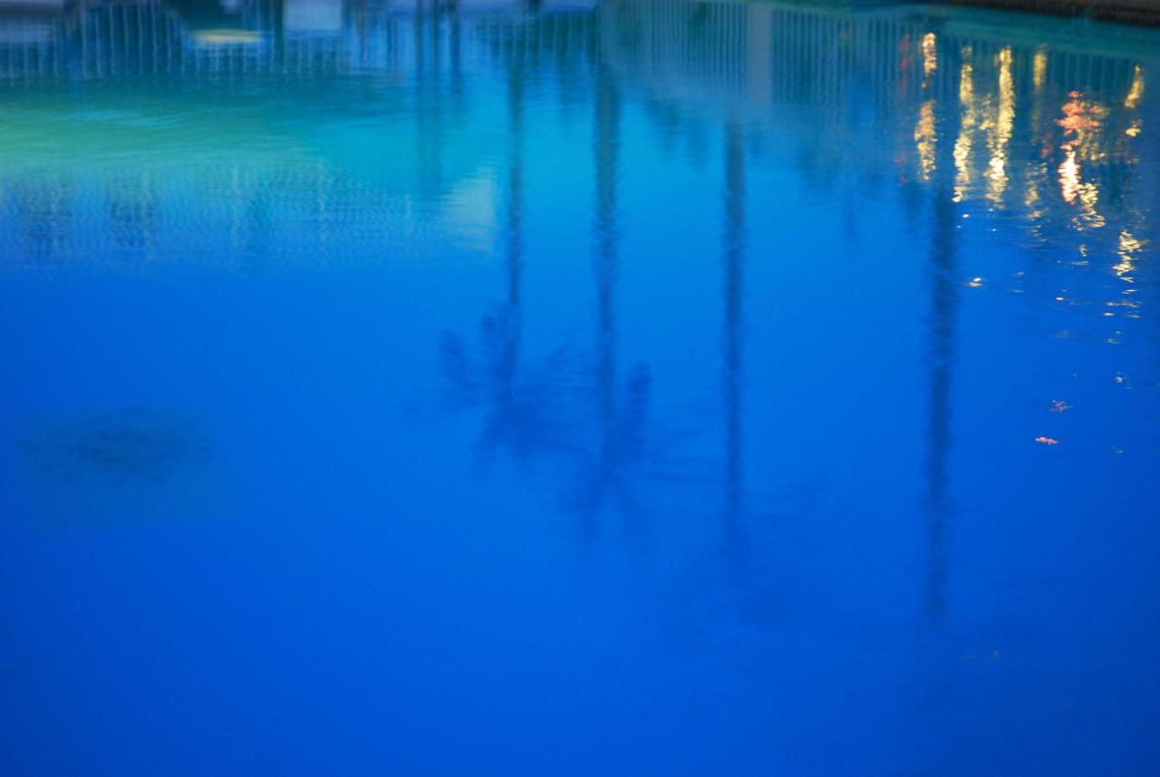 Heated swimming pool: Shalimar Resort