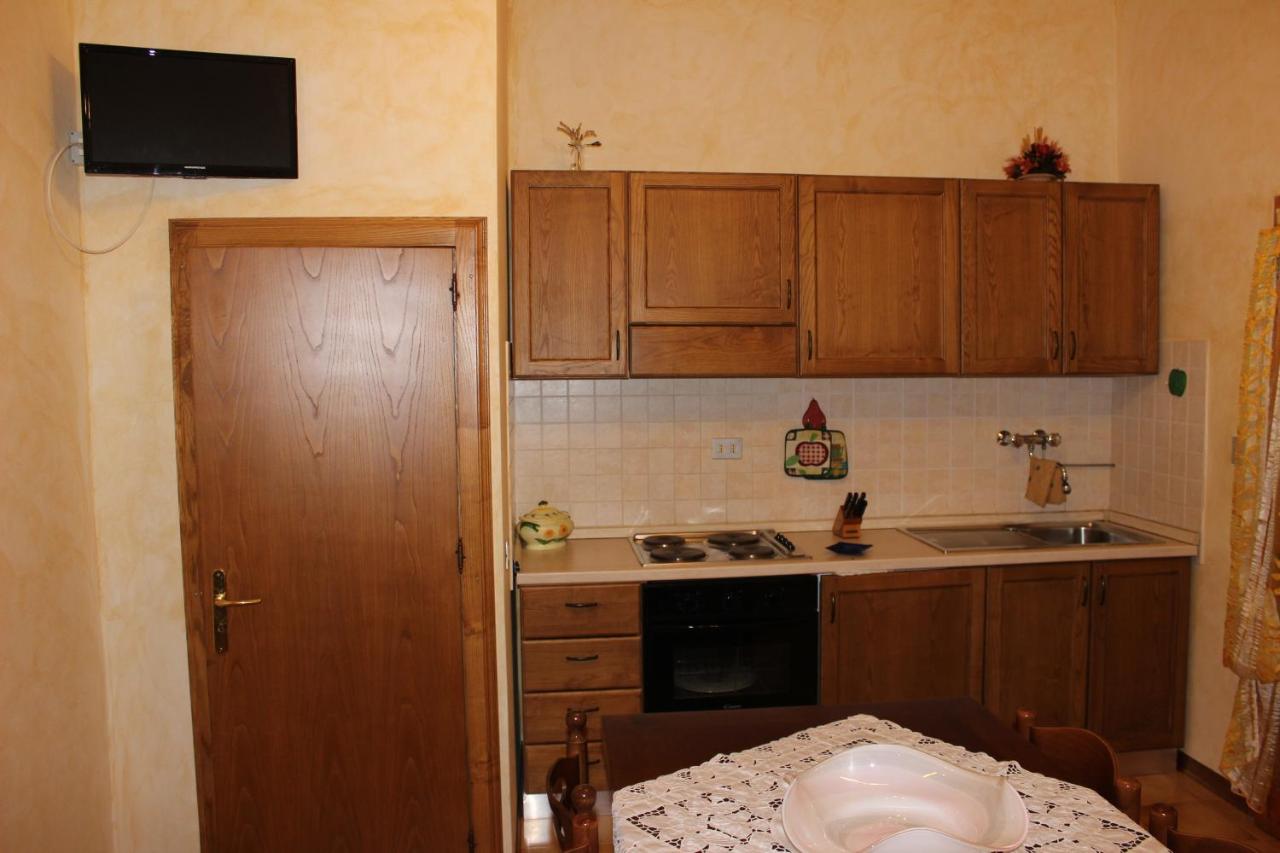 Il Vecchio Cipresso - 3