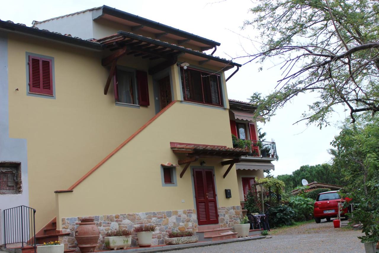 Il Vecchio Cipresso - 5