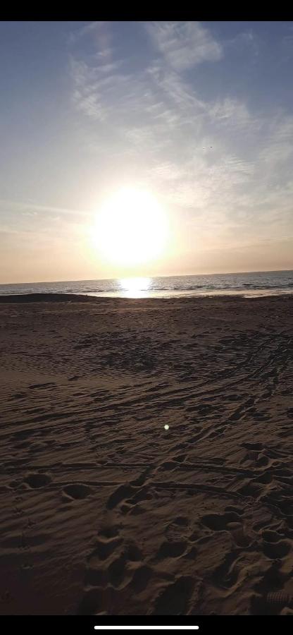 Beach: APPARTEMENT RDC AVEC 1 CHAMBRE à 5 METRES A PIED DE LA DIGUE DE LA PANNE