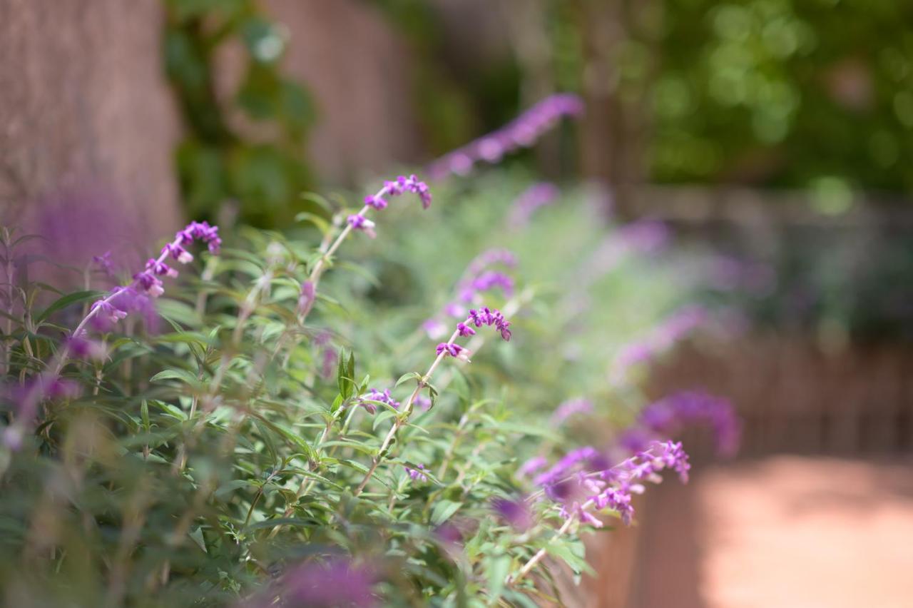 B&B Mediterraneo photo