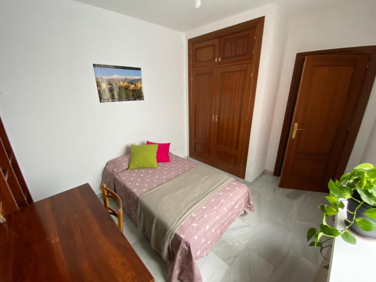 Pati perro, Granada – Precios actualizados 2022
