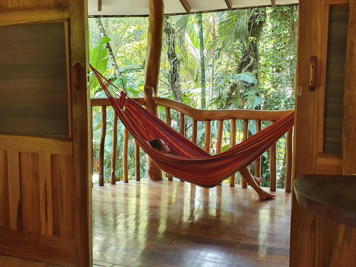 Cariblue Beach and Jungle Resort photo