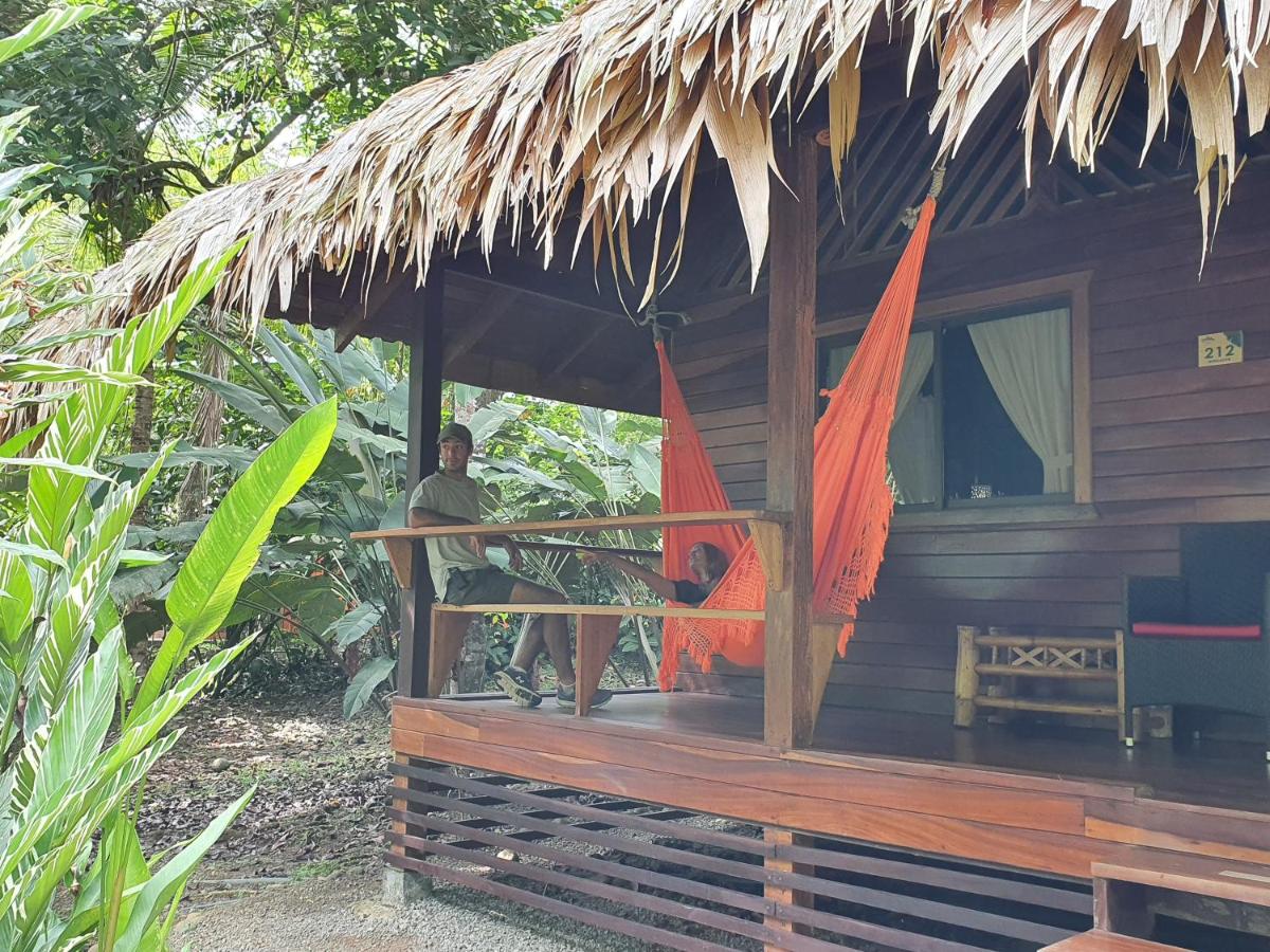 Cariblue Beach and Jungle Resort photo