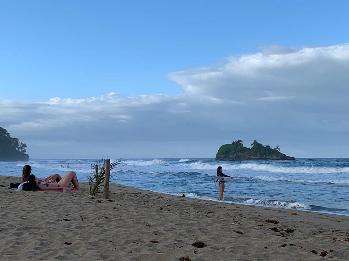 Cariblue Beach and Jungle Resort photo
