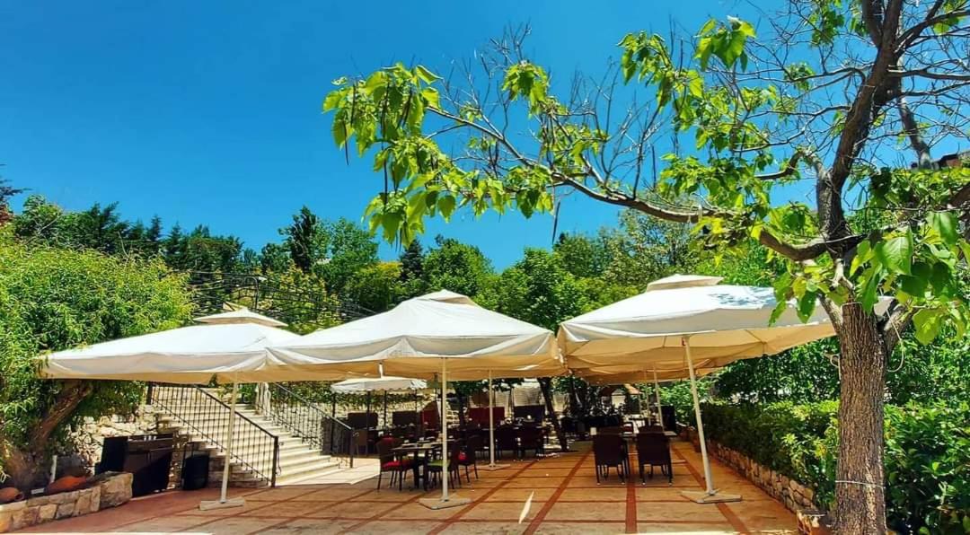 Rami Hotel photo