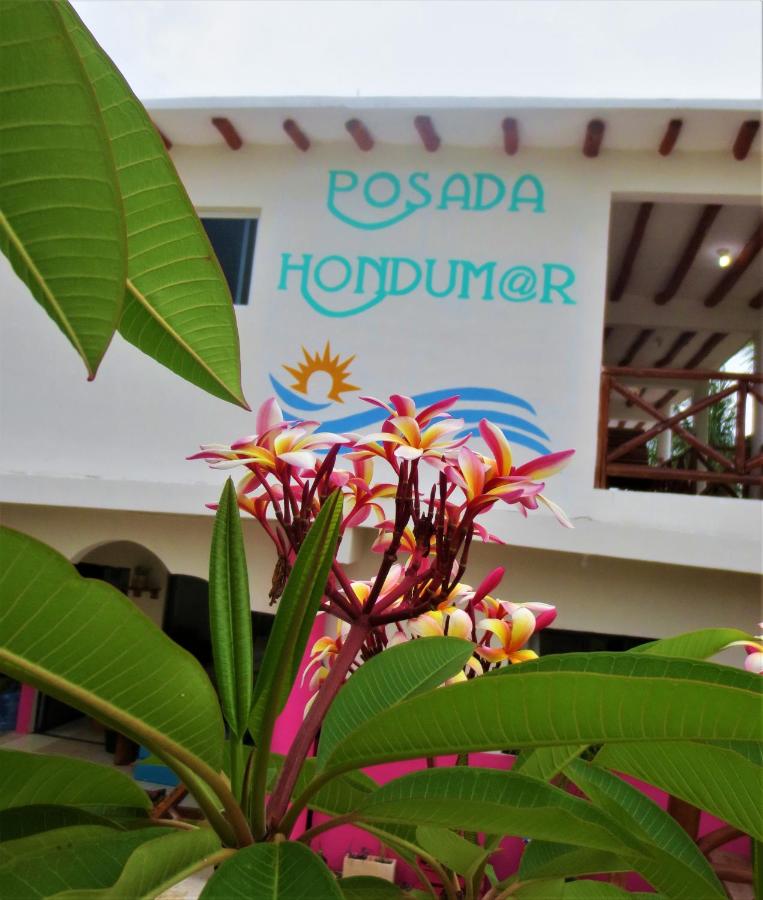 Posada Hondumar Holbox