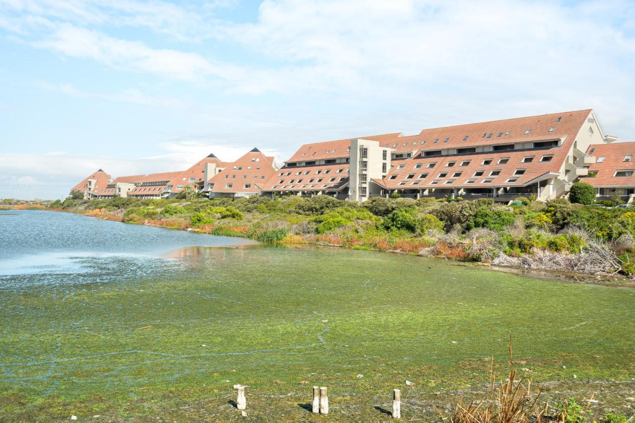 Dolphin Beach E30 - 5