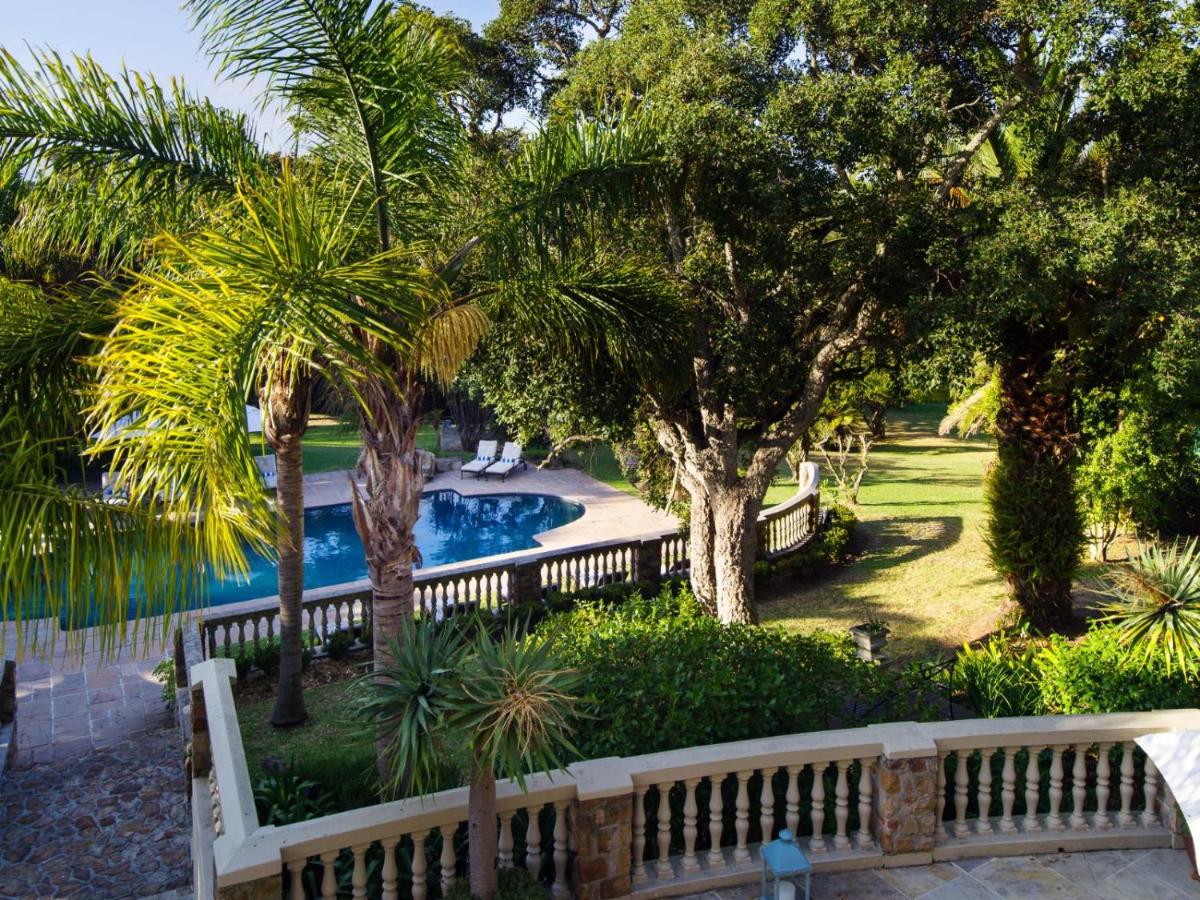 Aloe Cottage at Ibis House - 3