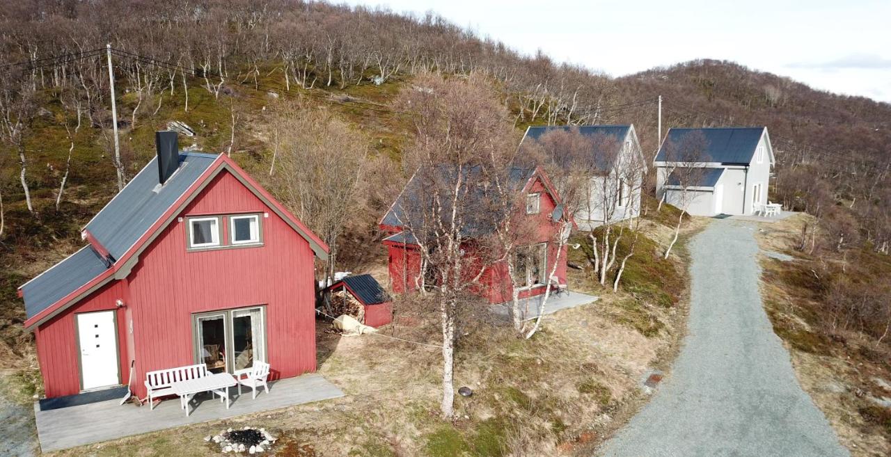 online dating karlsøy