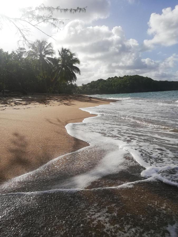 Beach: Ginger & Sun - Résidence de la Baie