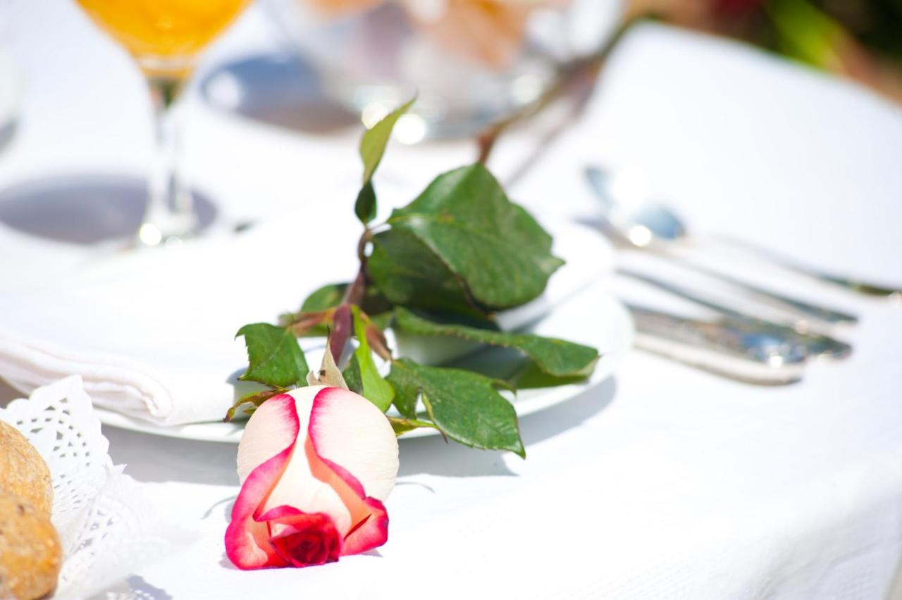 BacHome Terrace B&B - 4