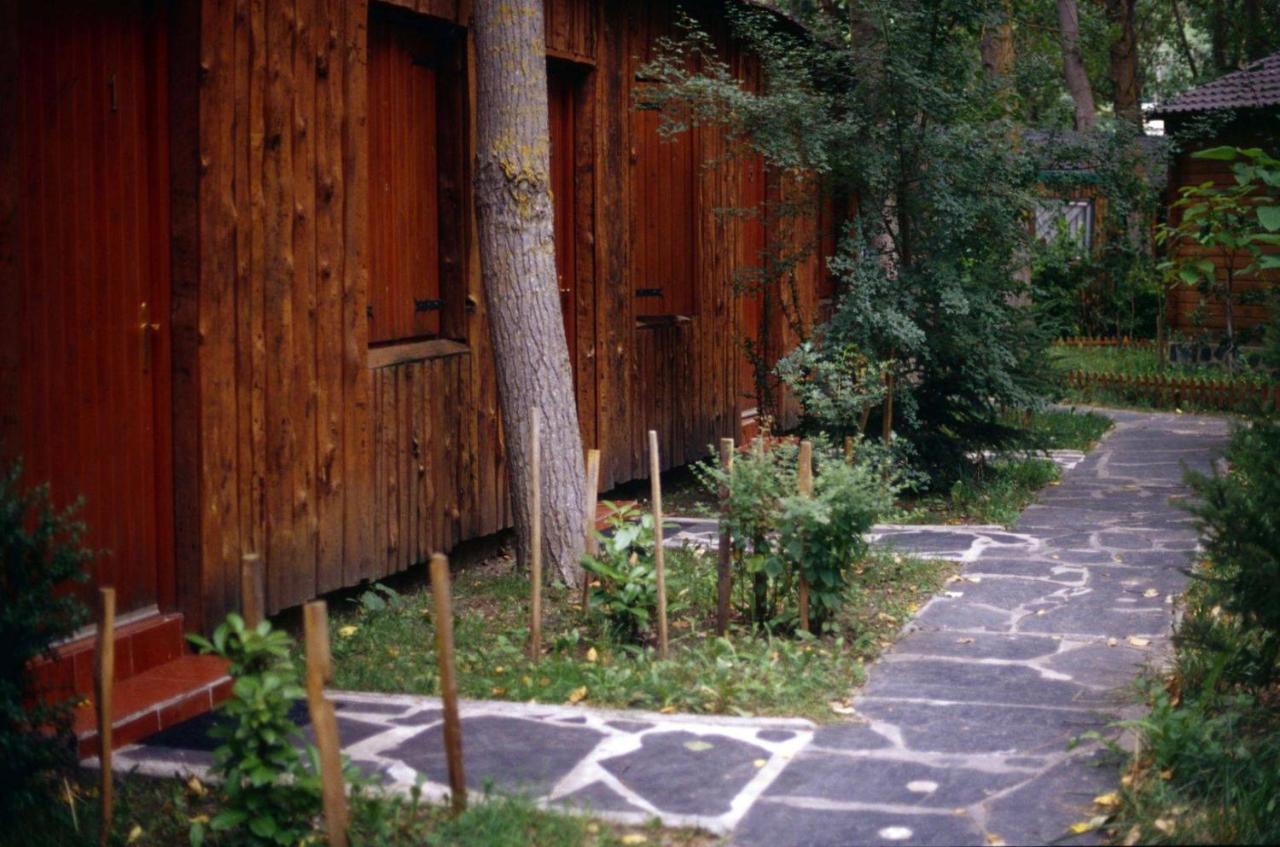 Campamento Pirineos Cien Lagos (España Esterri dÀneu ...