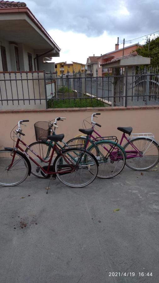 Beb Alla Marina Tortora photo