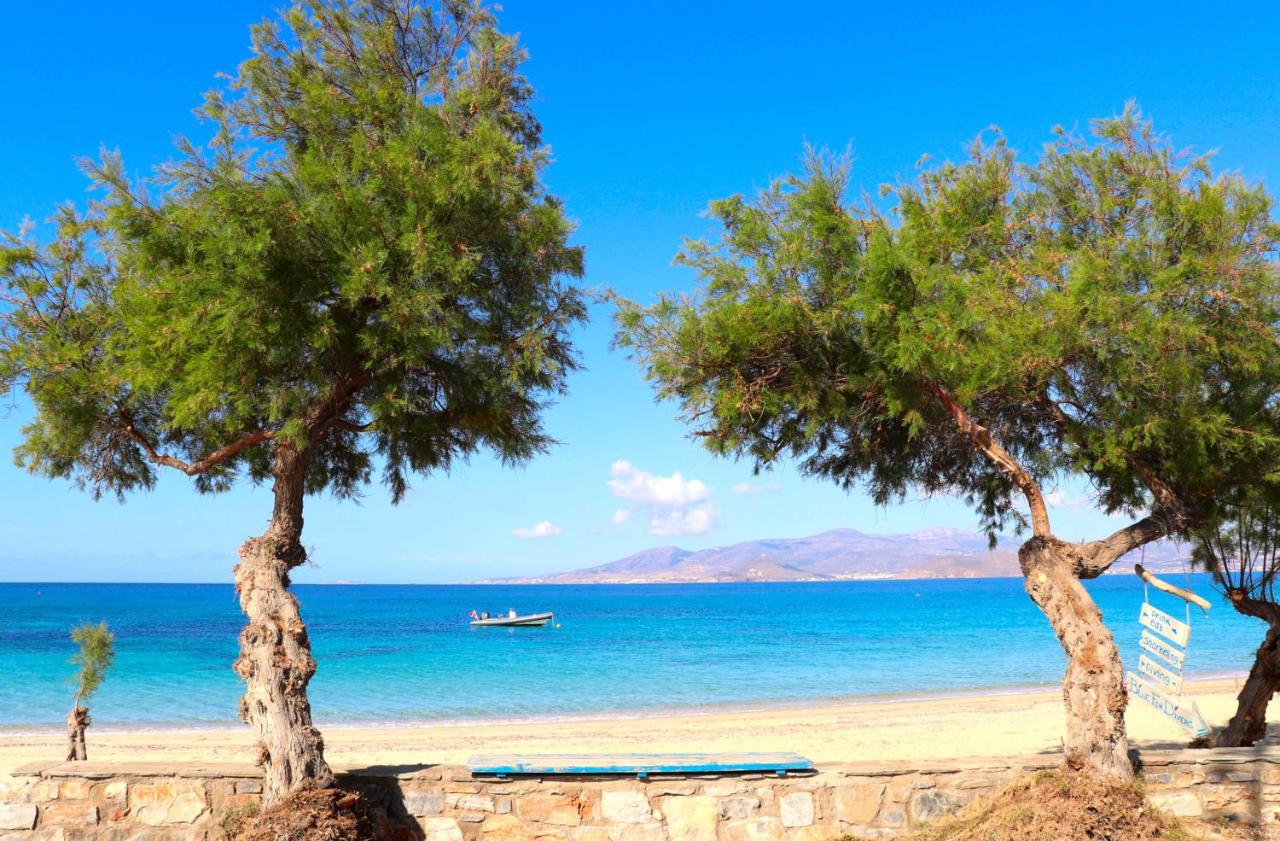 The Nine Graces Agios Prokopios Beach Villas アギオス プロコピオス 22年 最新料金 The Nine Graces Agios Prokopios Beach Villas アギオス プロコピオス 22年 最新料金