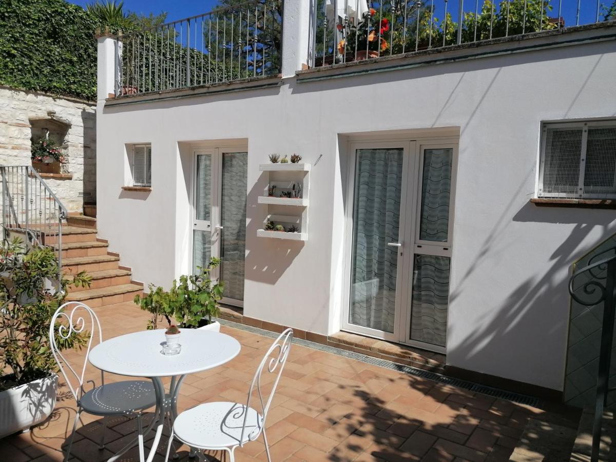 B&B Capo Le Vigne photo