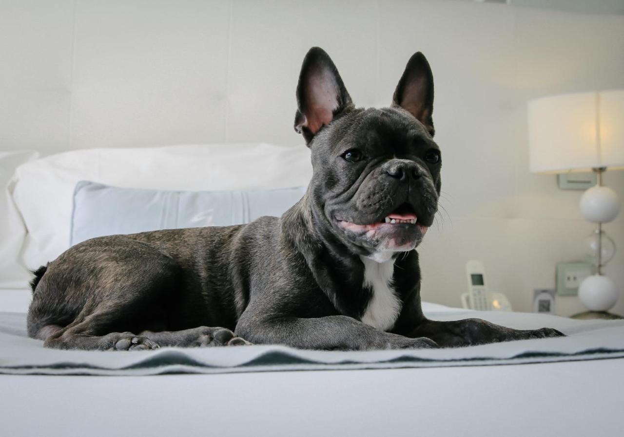 1828 Smart Hotel Boutique photo
