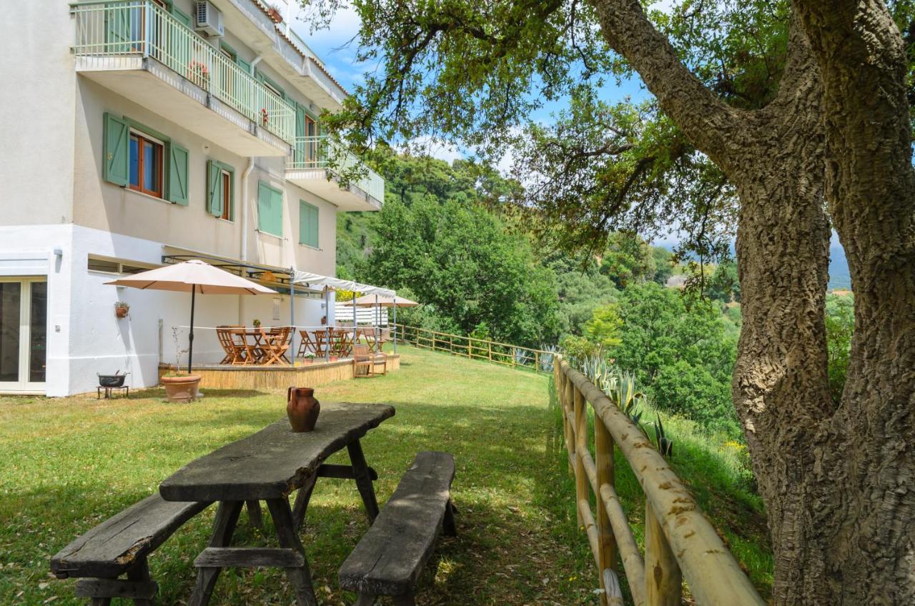 Driùs edodè - b&b affittacamere photo