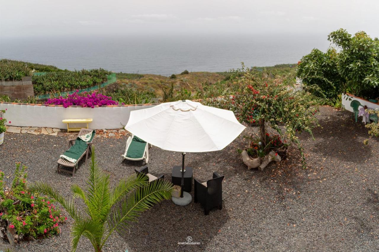 Bodega Goyo, Puntallana – Updated 2022 Prices