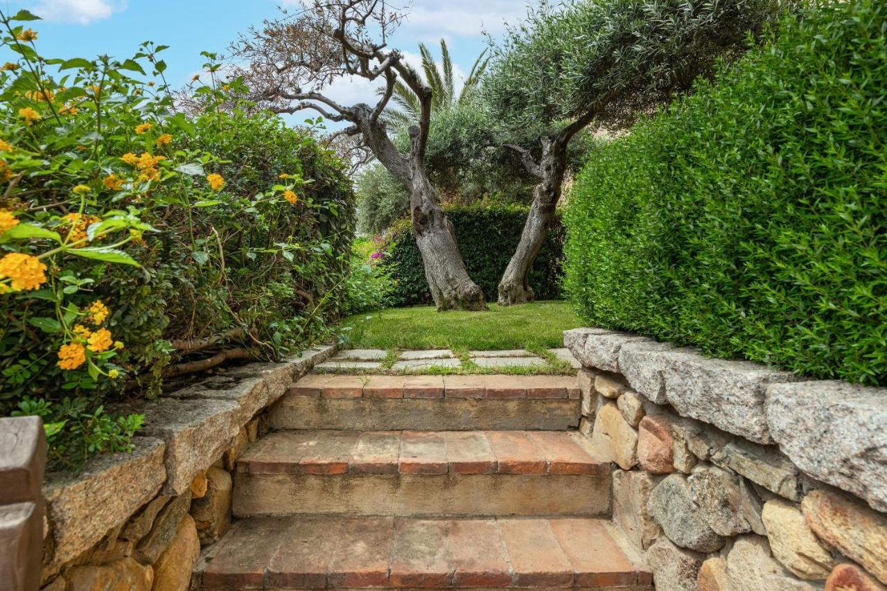 villa rok photo