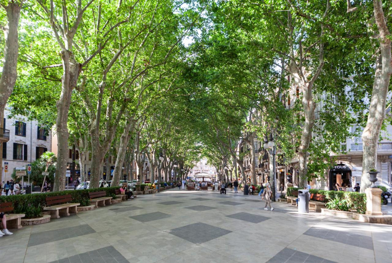 Nivia Born Boutique Hotel, Palma de Mallorca – Bijgewerkte ...