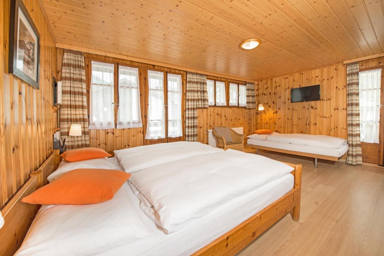 Hotel Alpina - 2