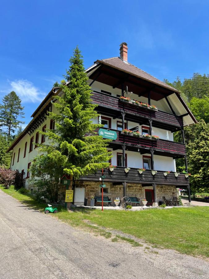 Waldblick Ferienwohnungen