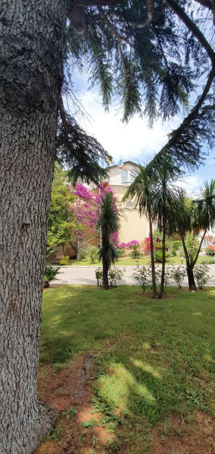 Hotel Mediterraneo photo