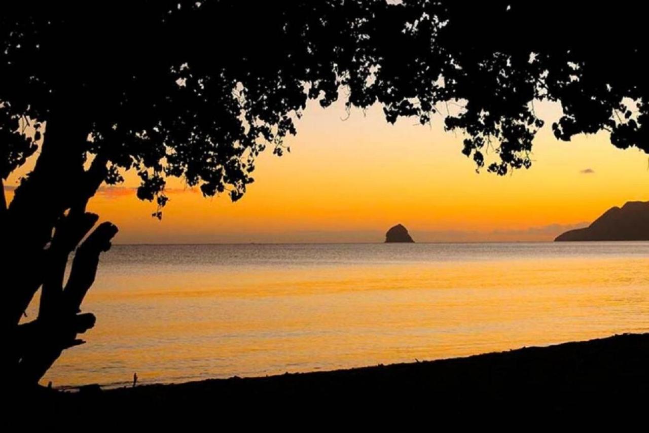 Beach: Superbe studio mi amor face au Rocher du Diamant