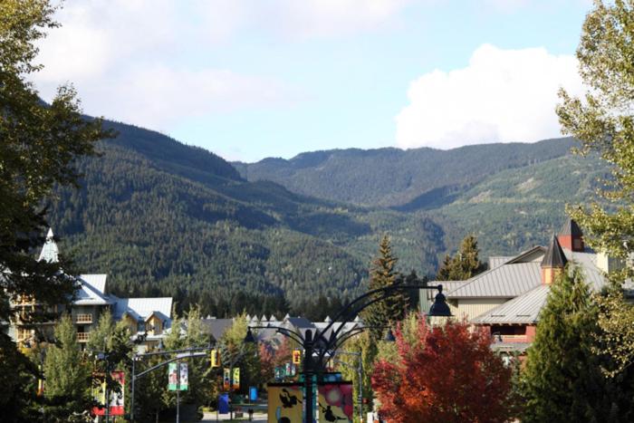 Admira Properties - Whistler photo