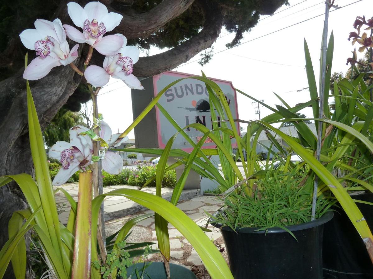 Sundown Motel — photo 23