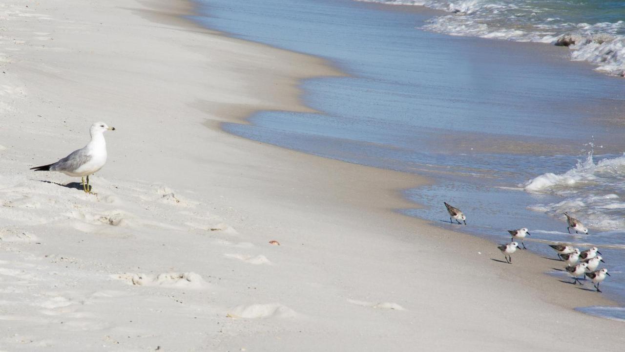 Breezy Dream アメリカ サンタ ローザ ビーチ Booking Com