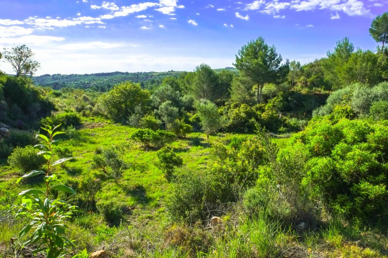 Luxury tent Wild Spirit Room, Villanueva de Alcolea, Spain ...