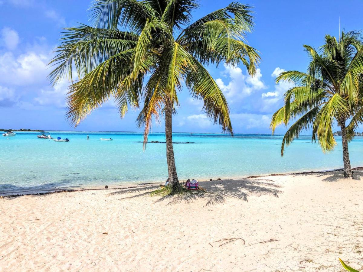 MOOREA - Tropical Soul