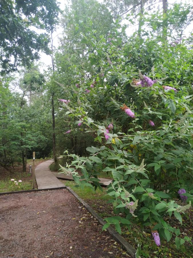 Les Roulottes Vesta Leognan Updated 21 Prices