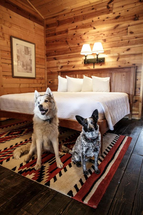 Chama Trails Motel — photo 5