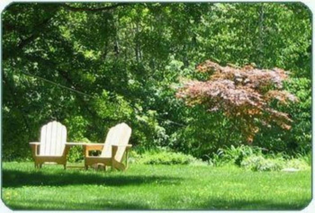 The Buttonwood Inn on Mt. Surprise — photo 8