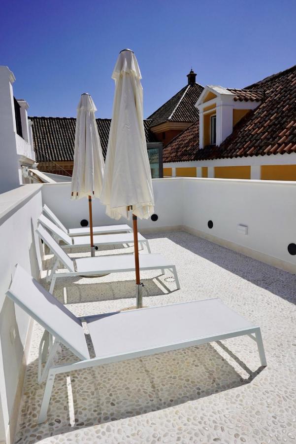 Rooftop swimming pool: Hotel Amadeus Sevilla