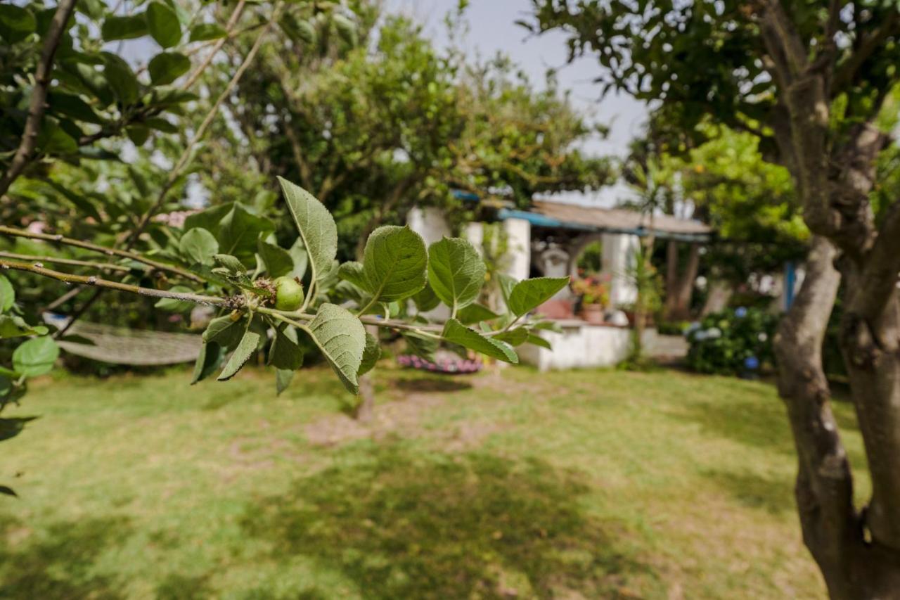 Le Querce photo