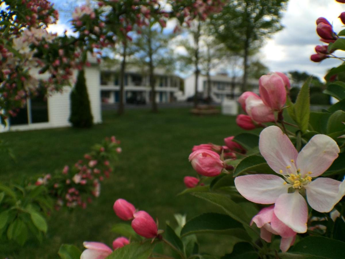 Ocean Acres Ogunquit — photo 24