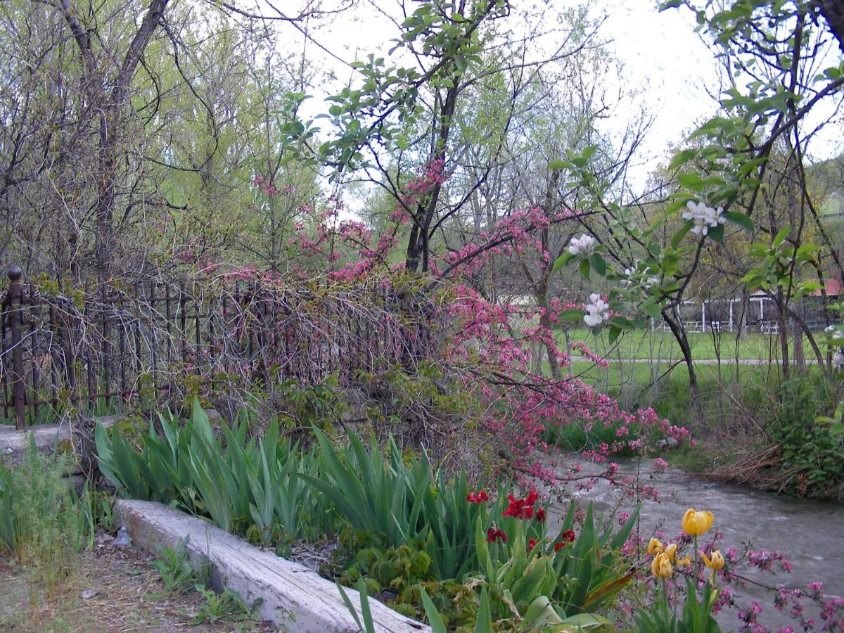 Riverside Hot Springs Inn & Spa - Adults Only — photo 20