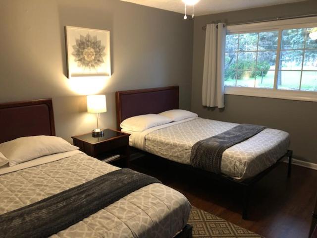 Nightshade Inn & Gardens — photo 24