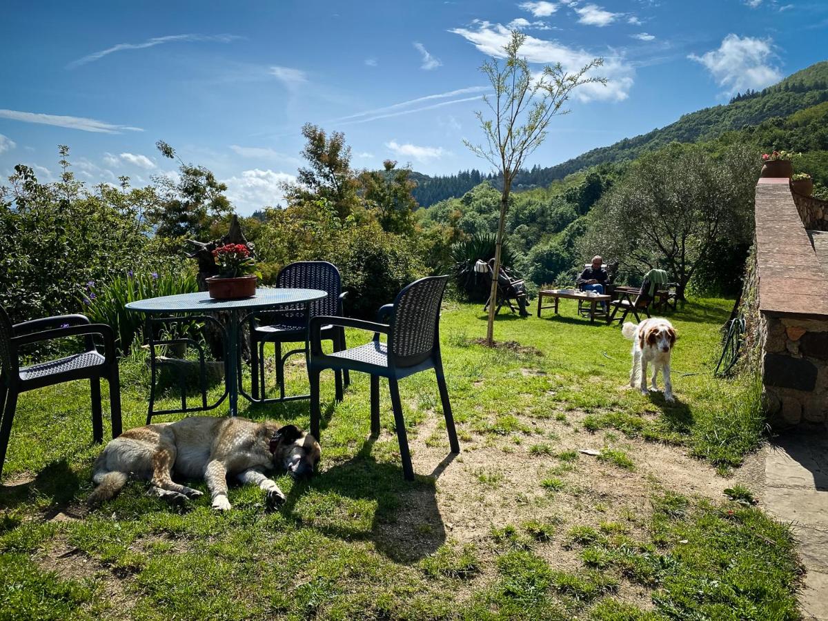 Landhuis El Buxaus de la Muntanya (Spanje Arbúcies) - Booking.com
