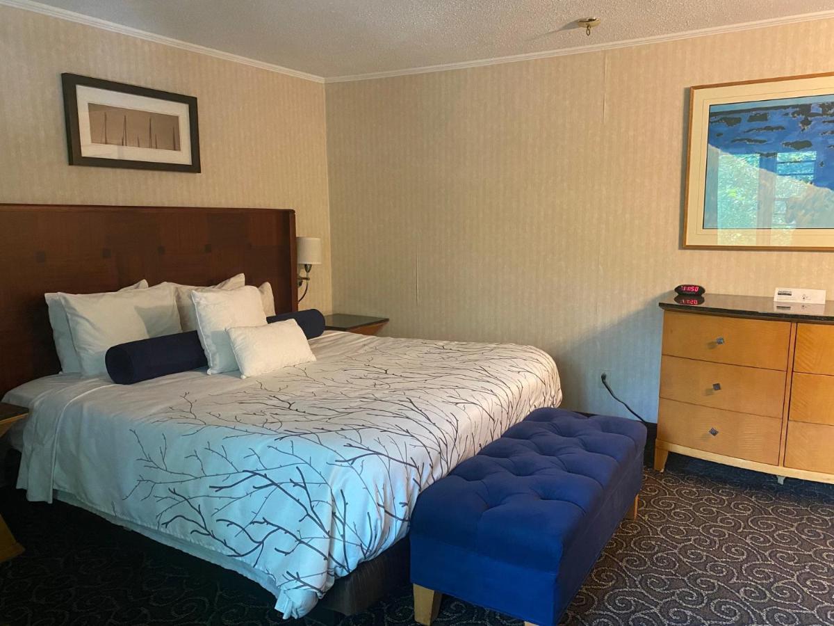 The Black Mountain Inn — photo 11
