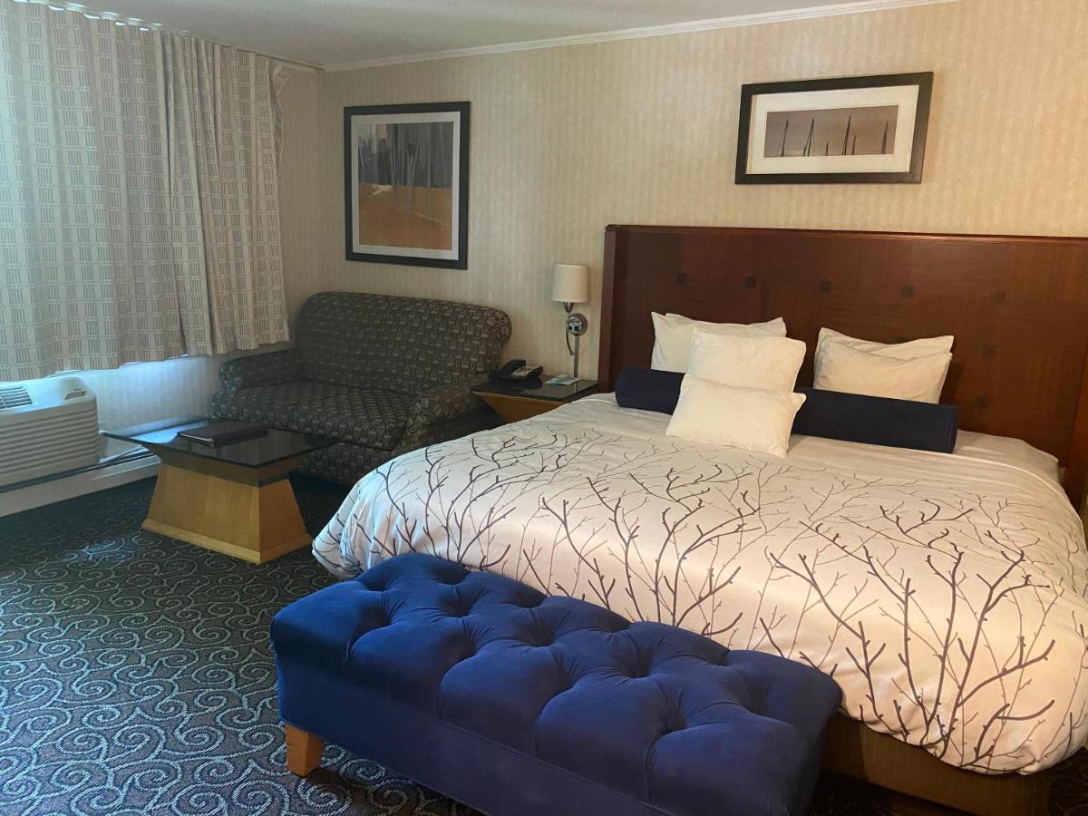 The Black Mountain Inn — photo 14