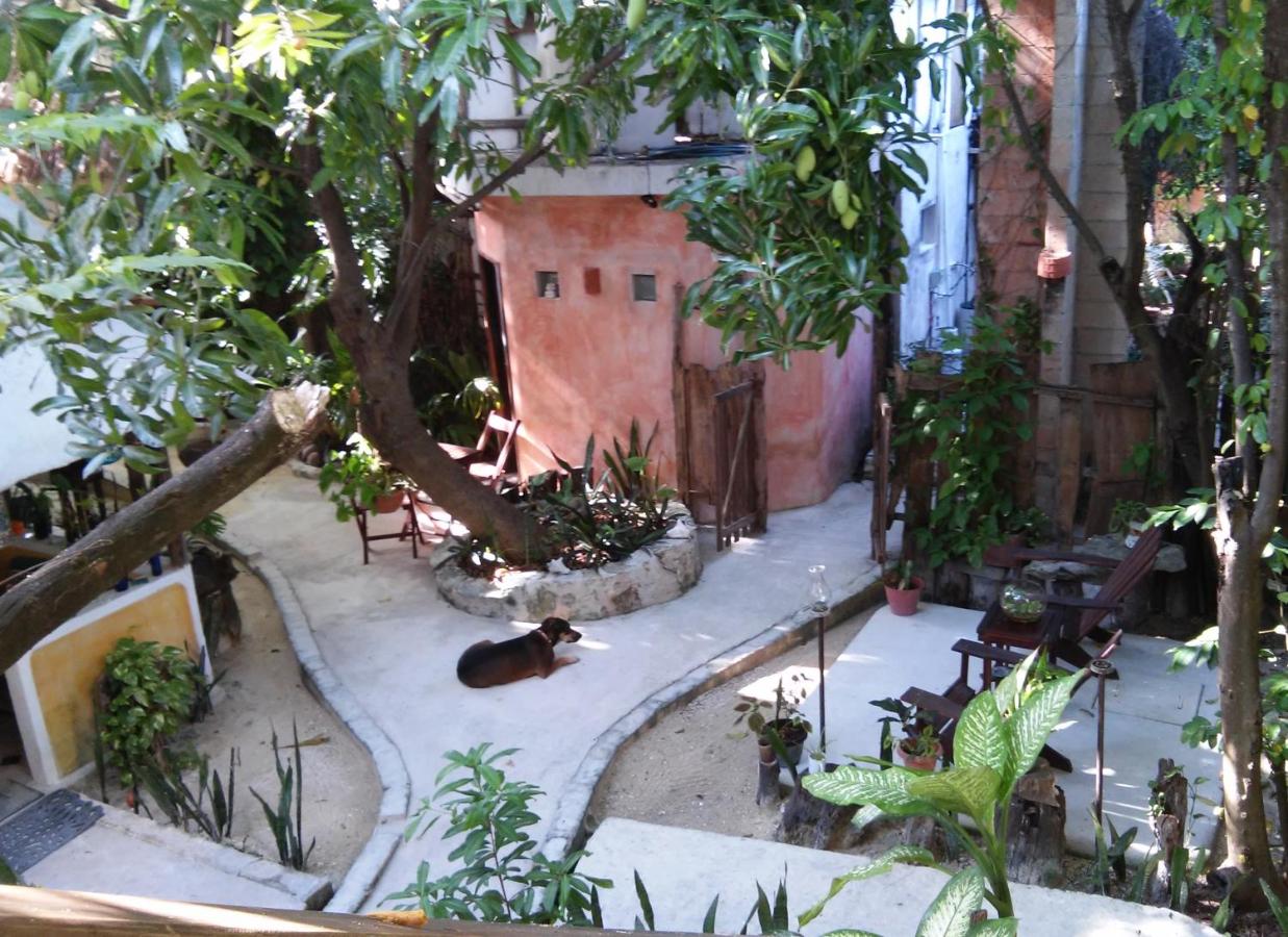 Casitas Kinsol photo