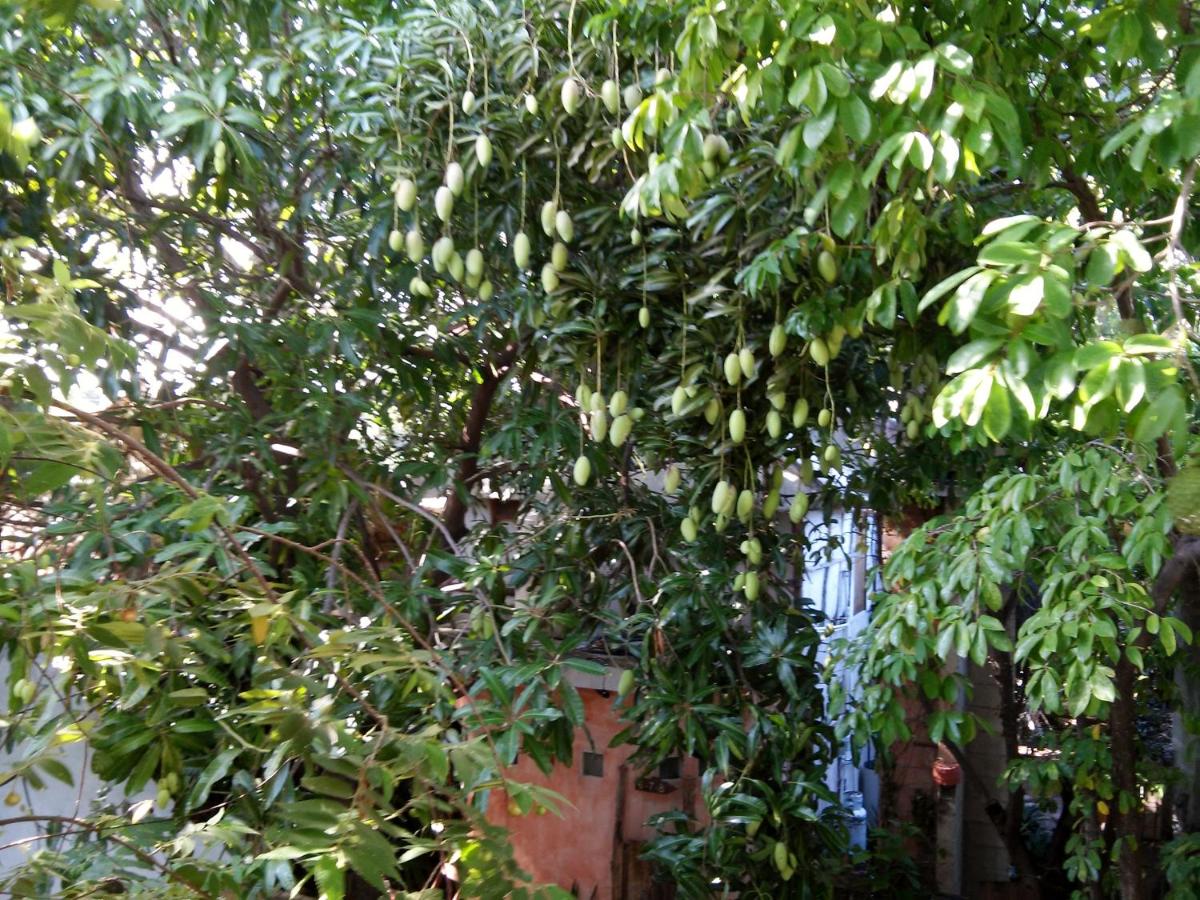 Casitas Kinsol photo