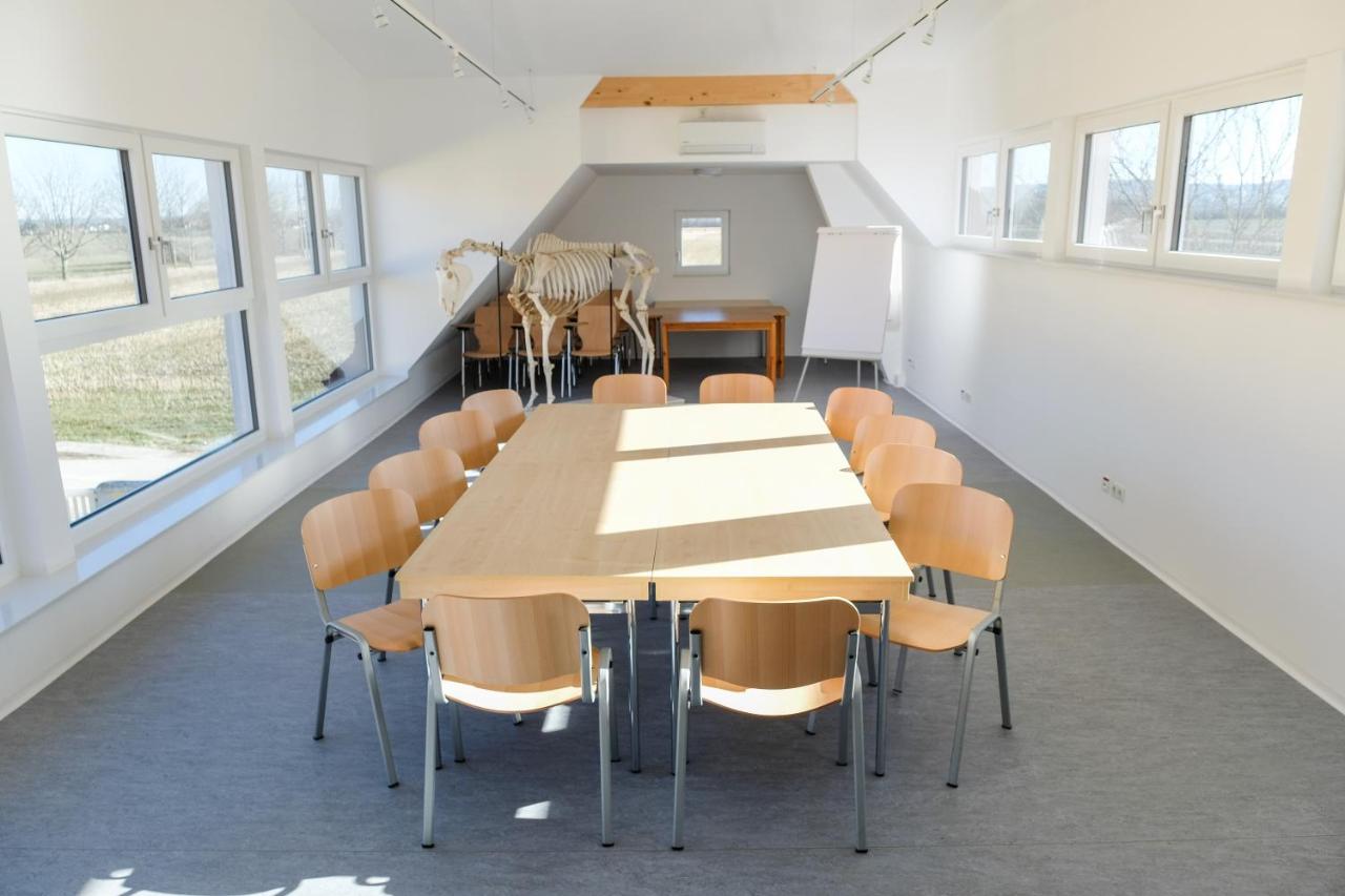 Equiliber Reitkunstzentrum Burgenland photo